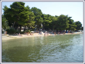 House Batifogo: Apartments and rooms - Island Rab, Banjol, Kvarner bay,  Croatia
