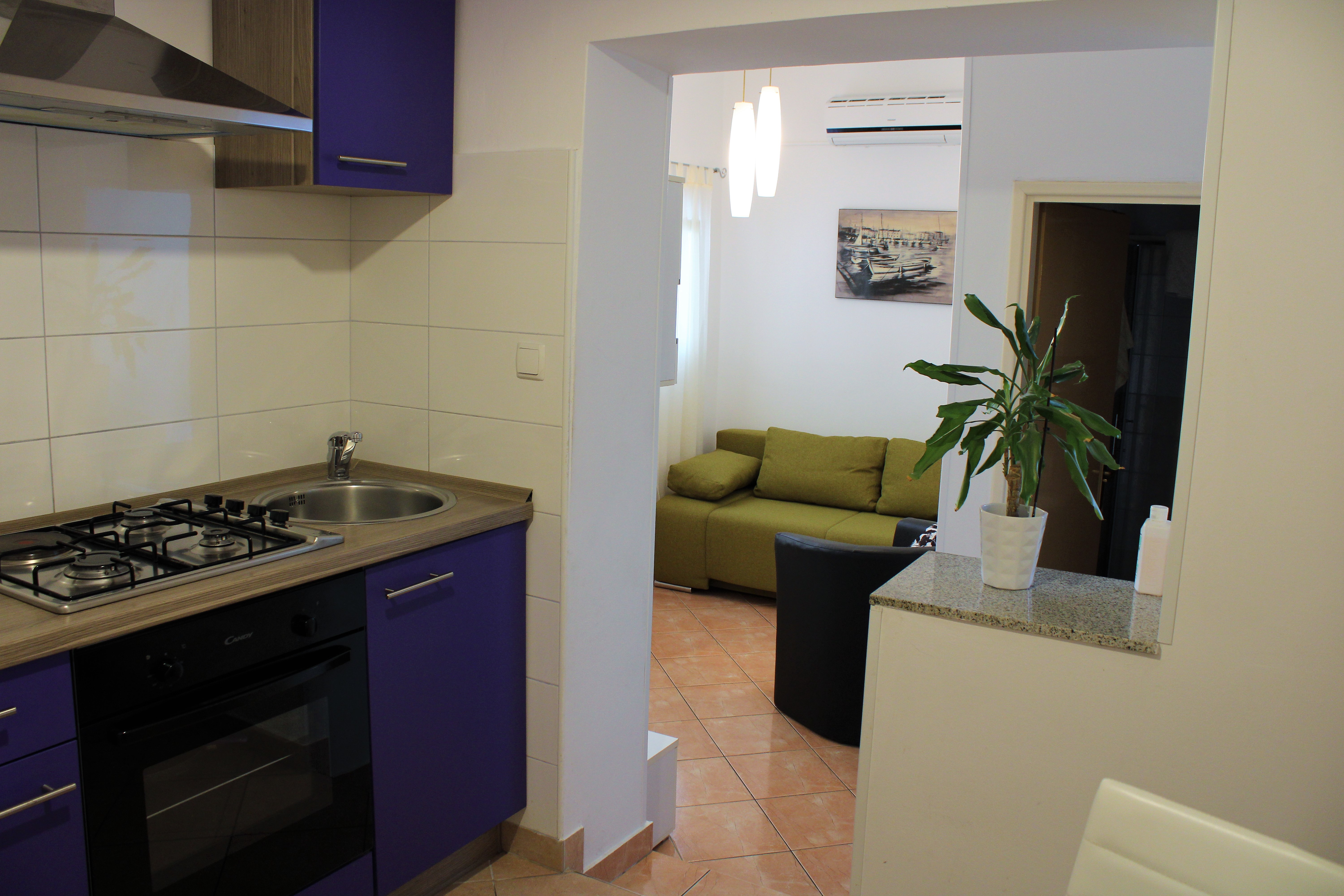 Apartment Pavle