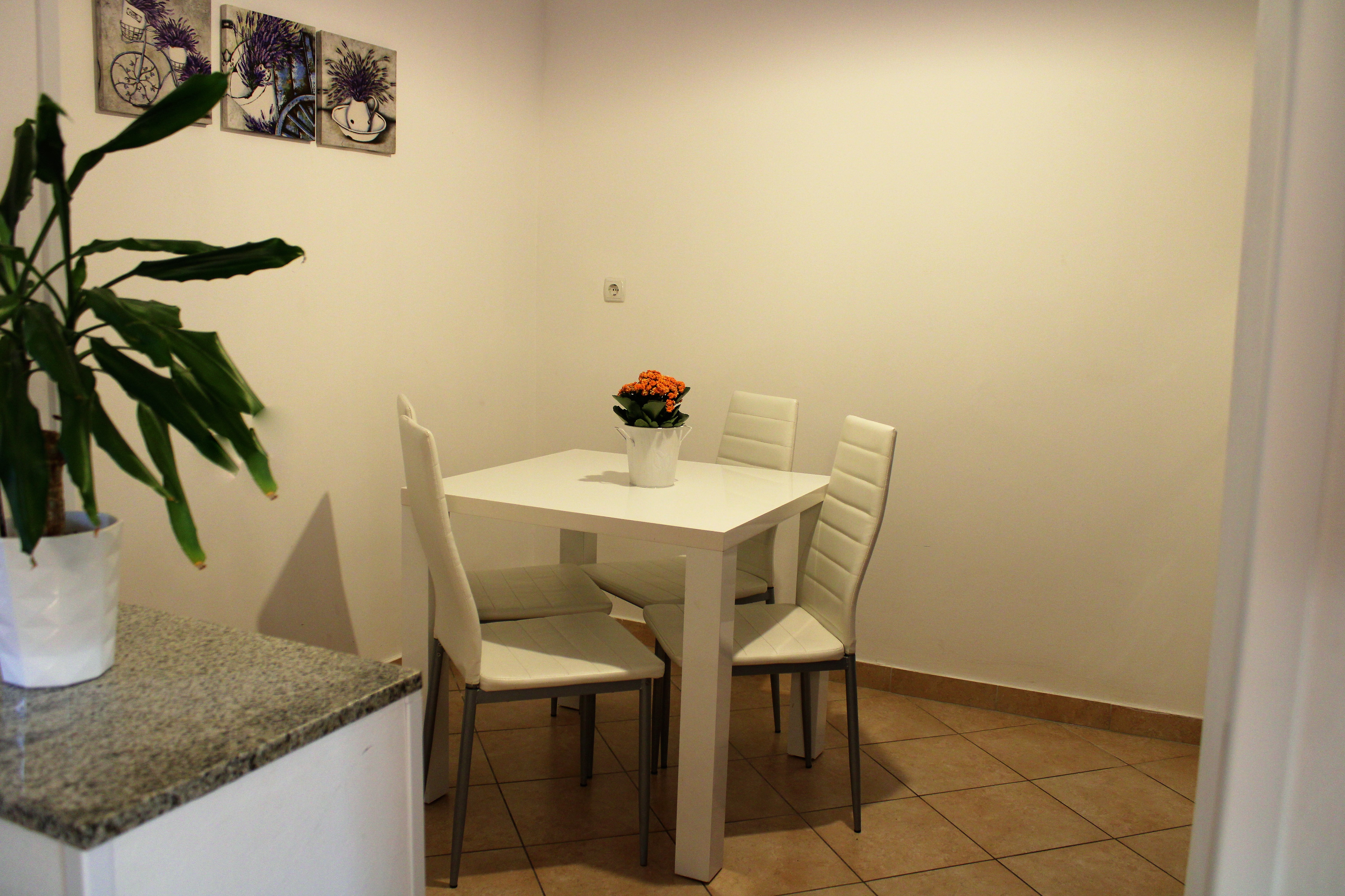 Apartman Pavle