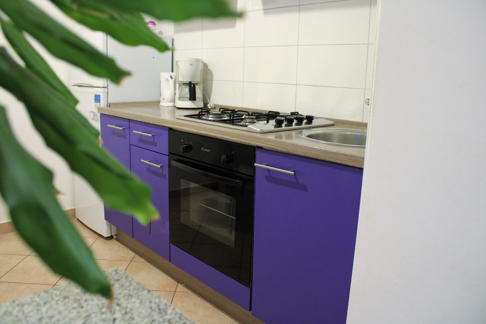 Ferienwohnung Pavle
